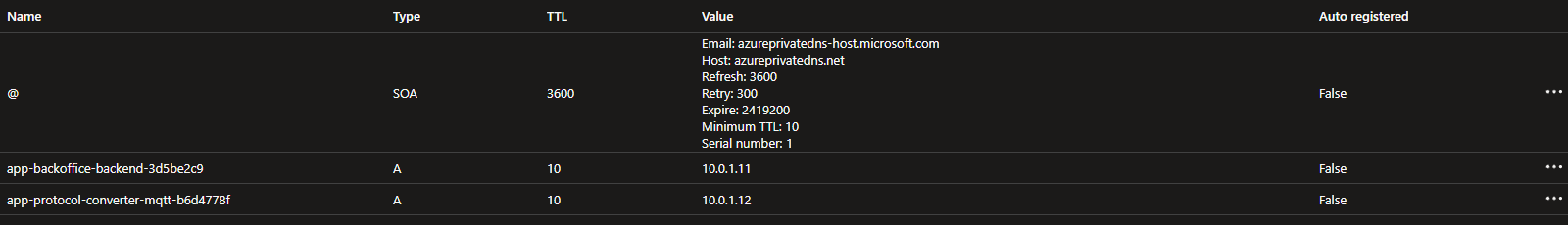 Mapped private endpoints in Private DNS Zone
